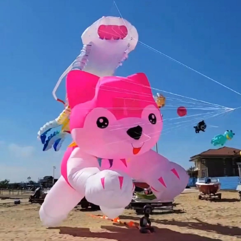 Layang-layang raksasa terbang  - Kite Wind Outdoor ulasan dan harga