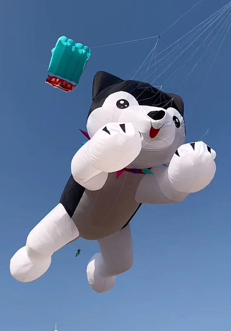 Layang-layang raksasa terbang  - Kite Wind Outdoor ulasan dan harga