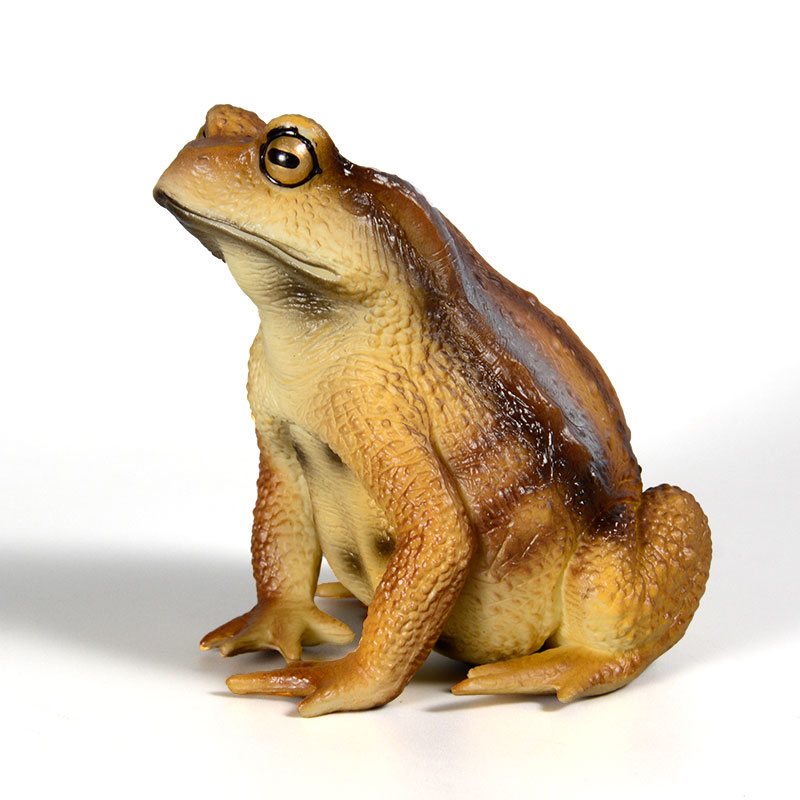 Figur Katak Amfibi Model Seran - Kids Toys Packaging ulasan dan harga