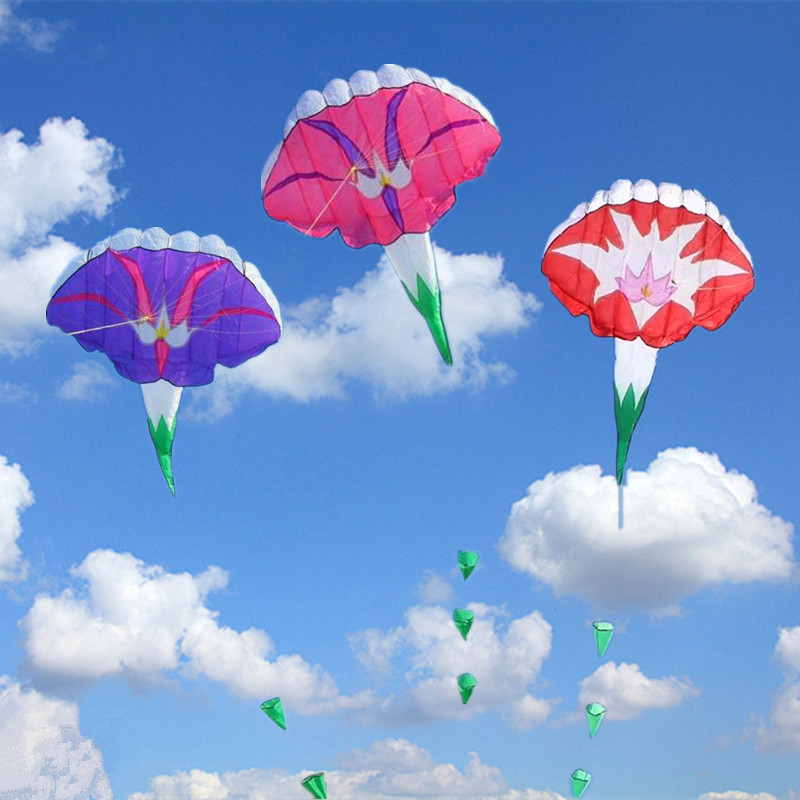 Layang-layang besar, layang-la - Kite Wind Outdoor ulasan dan harga