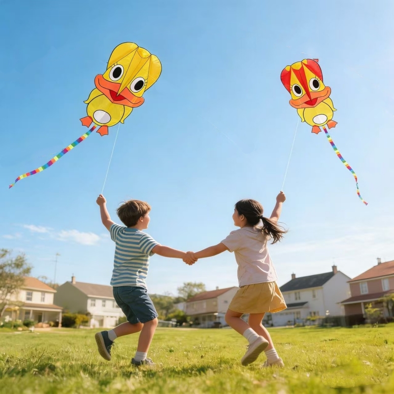 Layang-layang tiup, layang-lay - Kite Wind Outdoor ulasan dan harga