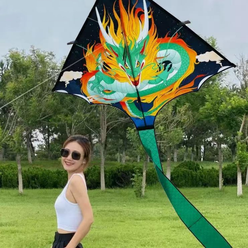 Mainan Terbang Layang-layang N - Kite Wind Outdoor ulasan dan harga