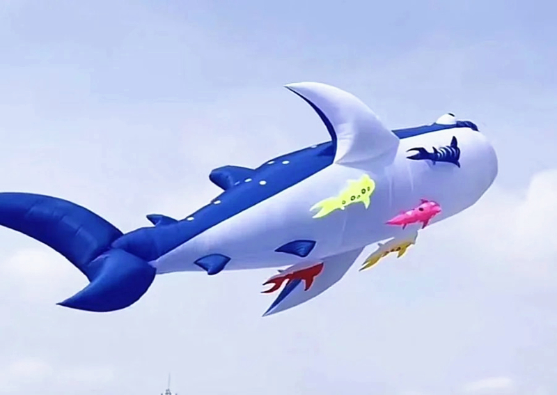 10m killer whale multiwarna, k - Kite Wind Outdoor ulasan dan harga