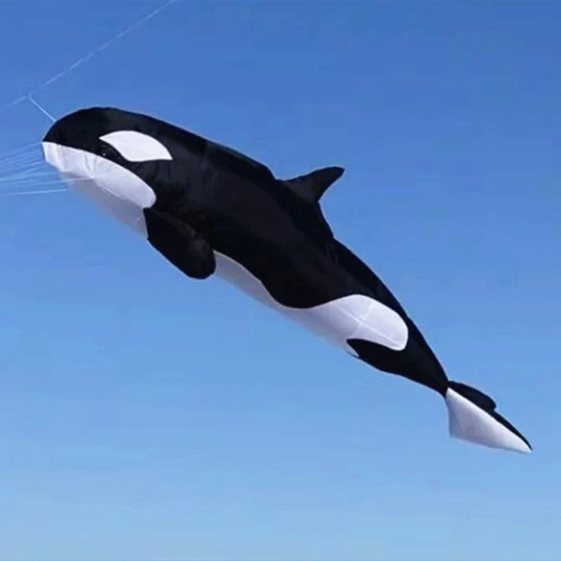 10m killer whale multiwarna, k - Kite Wind Outdoor ulasan dan harga