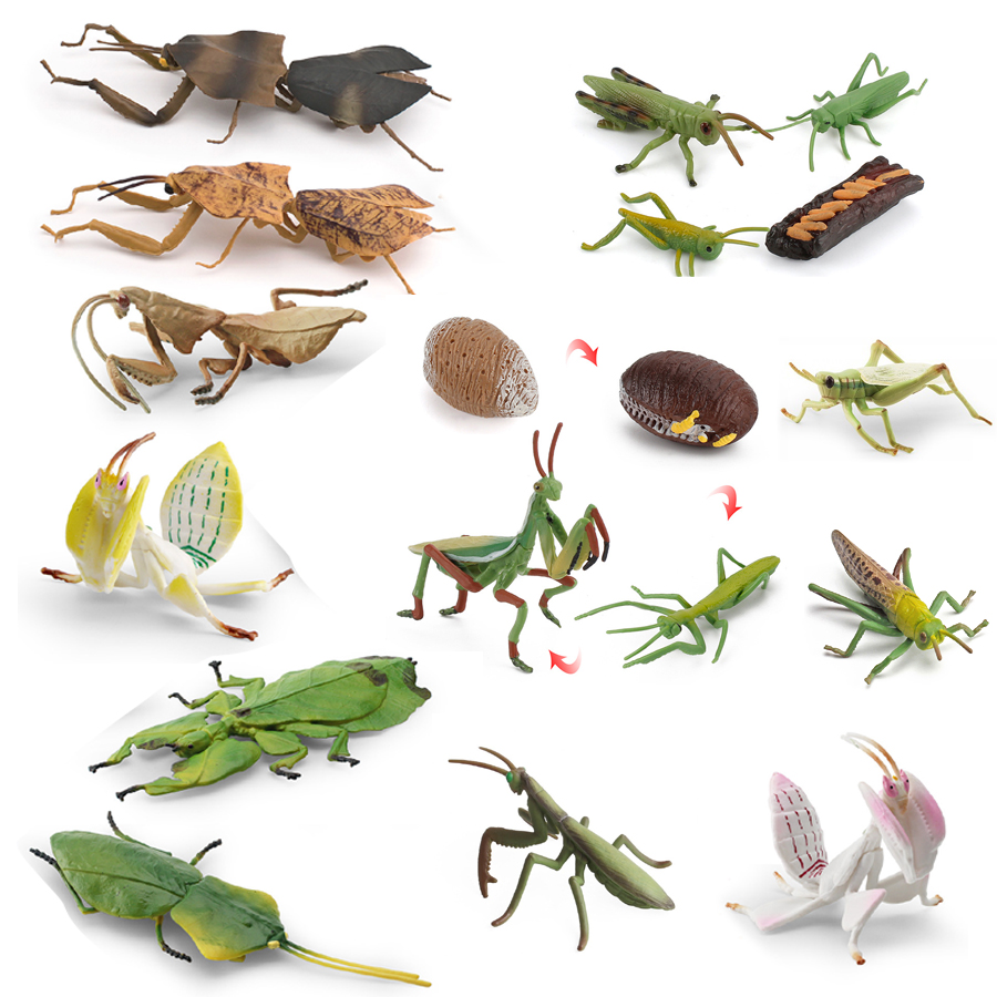 Model Figur Serangga Daun Raks - Kids Toys China ulasan dan harga