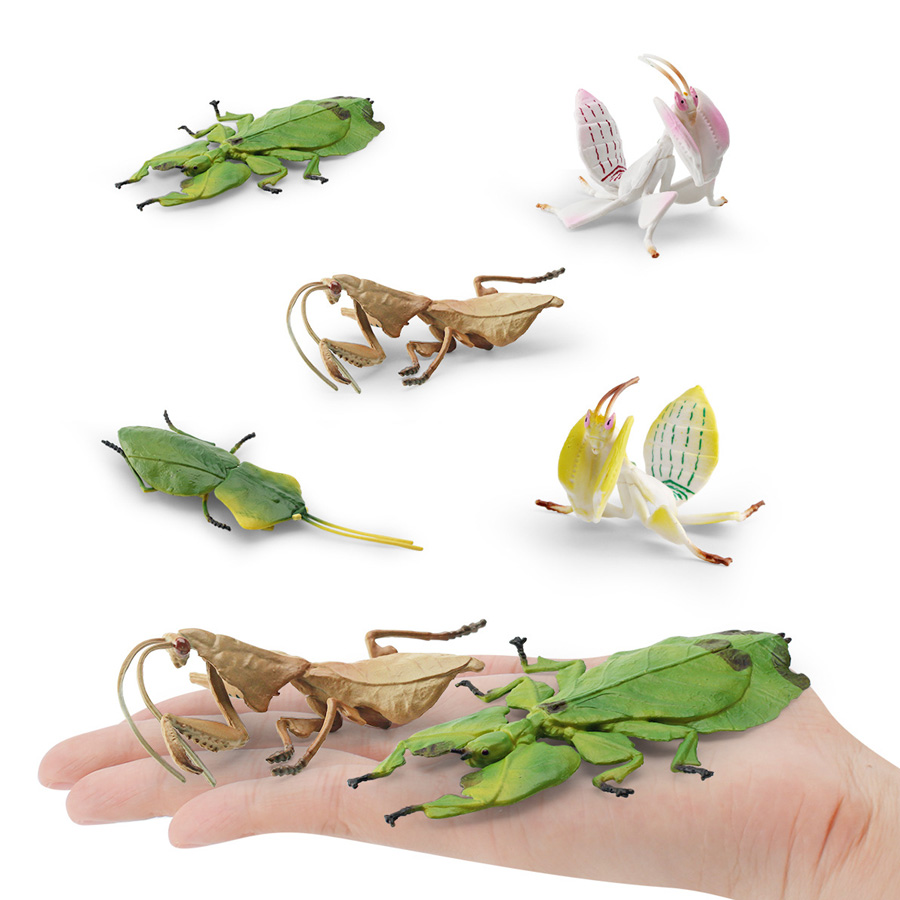 Model Figur Serangga Daun Raks - Kids Toys China ulasan dan harga